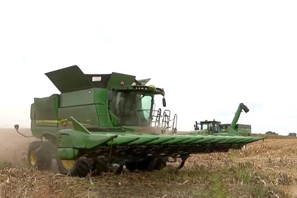 Controversial weed killer may force some farmers out of business