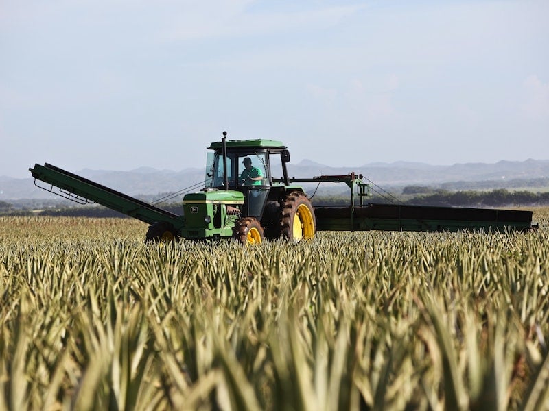 Dicamba-damage